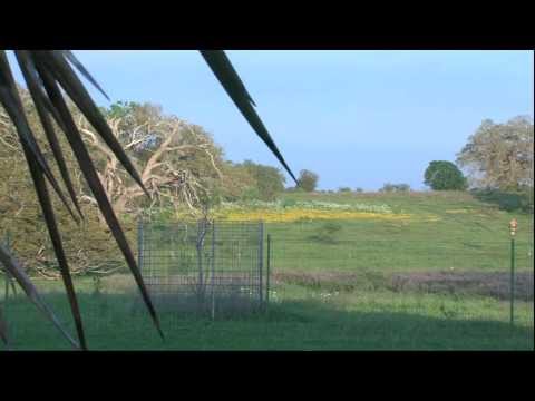 Wexford Ranches, Texas