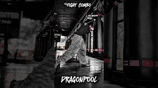 Fight Combo