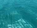 maya 3d water