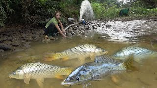 Video Fishing -Modern Technology Catch Many Big Fish - Pump Fishing Techniques - Survival Skills