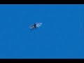 UFO, May 11, 2009 4 PM illuminescent UFO UFO, May 11, 2009 4 PM illuminescent UFO