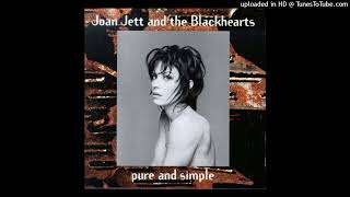 Watch Joan Jett  The Blackhearts You Got A Problem video