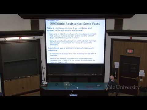 The Signs of Syphilis Video