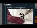 UNUSUAL MEMES COMPILATION V33