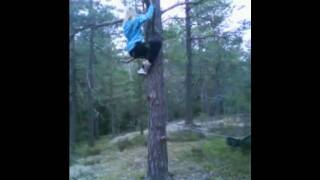Vilse I Skogen