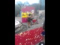 risas de america 2