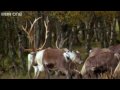 Funny Talking Animals - Walk On The Wild Side - Episode Six Preview - BBC One