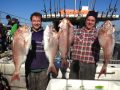 Cup weekend 2013. Snapper madness.. Where were you?? Cup weekend 2013. Snapper madness.. Where were you??