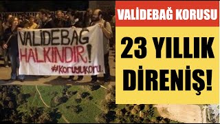 Akp Neden Gözünü Di̇kti̇? Vali̇debağ Korusu Gerçeği̇