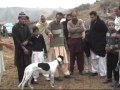 2nd Rawat Race Dog Vs Rabbit (Part 4)