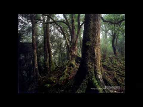 hawa sun hawa by sonu nigam and alka yagnik.wmv