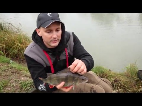 дропшот для белой рыбы видео дропшот для белой рыбы видео