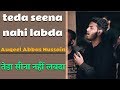 Tera Seena Nahi Labda | तेडा सीना नहीं लबदा  |  Aqeel Abbas Hussain Bangalore | Noha Irfan Hussain