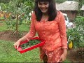 Campursari Anak Sma 2 Semarang Hot images Campursari Anak Sma 2 Semarang Hot