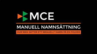 manuell namnsättning