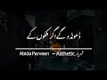 Dhoondo Ge Agar Mulkon Mulkon - Abida Parveen - Lyrical Video - Asthetic Lyrics - Asthetic Shehryar
