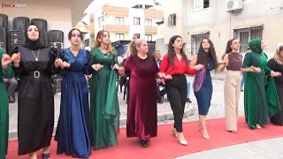 Düğün Sezonu Başladı 2024 / Diyarbakır Grani Ağır Delilo Halayı - Harika Düğün -