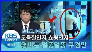도둑질인지 쇼핑인지…경비는 멀뚱멀뚱 구경만 / KBS AMERICA 2022. 08. 26