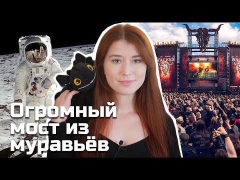 Двое сбежали из дома престарелых на метал-фест Двое сбежали из дома престарелых на метал-фест