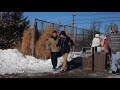 Yeti Scare Prank