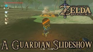 Zelda Breath Of The Wild Playthrough: Guardian Slideshow, Shoqa Tatone Shrine