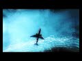 E' Tornato Video preview