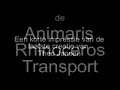 Animaris Rhinoceros Transport