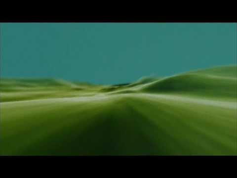 Systems Of Romance Video