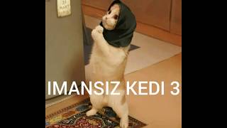 İmansız Kedi Müslüm 3 Antep Dublaj