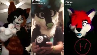 Furry TikTok Cringe
