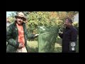 planter un bananier