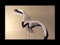 "Raptor" - Contemporary Paper Sculpture by Francene Levinson