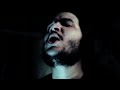Brood Of Hatred "Cacophony In The Creation" (OFFICIAL VIDEO)