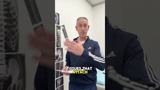 What Is The Difference Between A And A ? Dr. Kenneth Brooks Explains