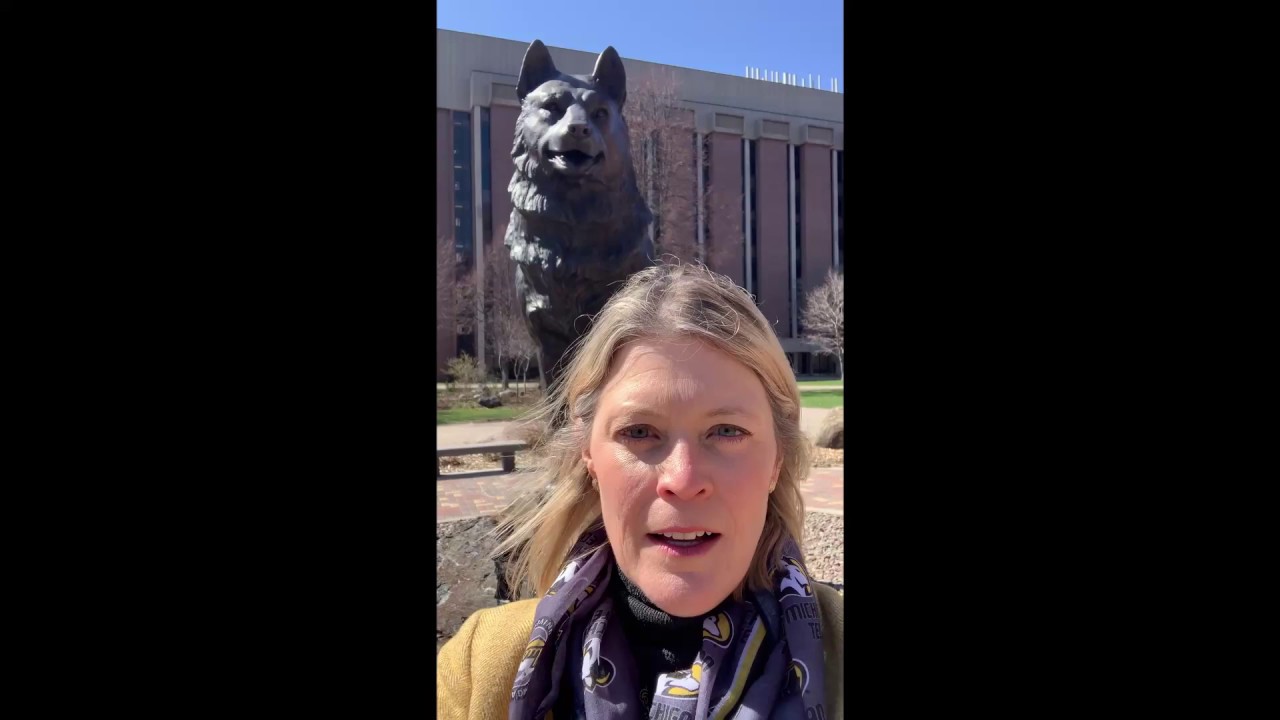 Preview image for Civil and Environmental Engineering video