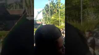 PAWAI TIMNAS SENEGAL