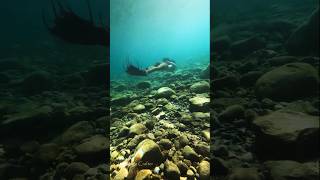 The 1000 Silicone Mermaid Tail As Seen Underwater