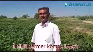 İmişlili Fermer Kömək İsdəyir