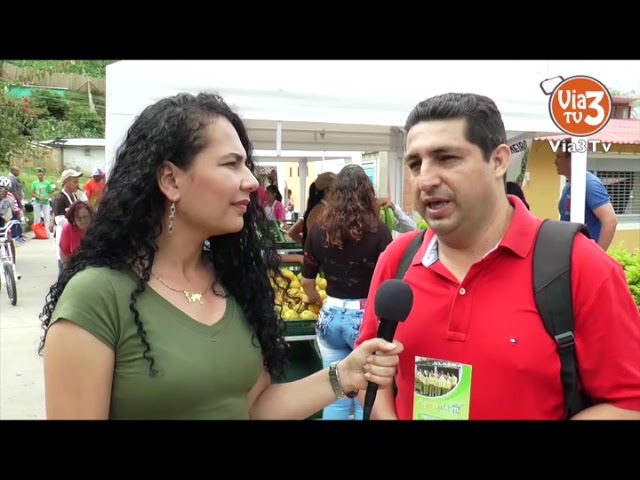 Procesos de la Fundación Via3