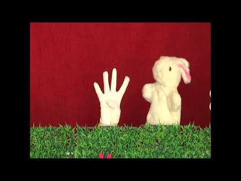Video dạy trẻ mầm non học toán theo phương pháp fingermath