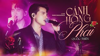 Cánh Hồng Phai - Quốc Thiên Khiến Khán Giả Say Đắm Với Giọng Live Đầy Cảm Xúc Official Music Video