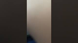 Cbr3 Broken Neil
