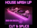 Big In Ibiza House Mash Up (Mixed By Cut & Splice)