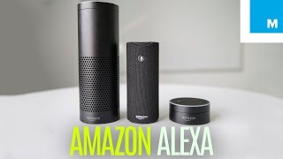 Amazon Echo, Dot & Tap: Which Alexa Device is for You? | Plugged In