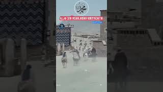 Hz. Muhammed Sav Yakalayana 100 Deve Çağri Fi̇lmi̇
