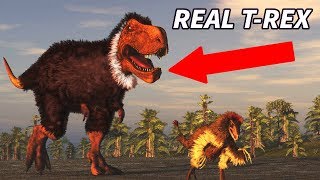 Myths About Dinosaurs You Probably Still Believe Myths About Dinosaurs You Probably Still Believe