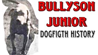 Ch Hall & Longs Bullyson Jr 3Xw1Xl - Dogfigth History