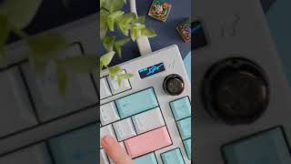 Bongo Cat Oled On The Satisfaction 75