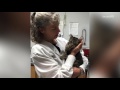 Officials Search For Person Who Lit Fireworks In This Cat Officials Search For Person Who Lit Fireworks In This Cat