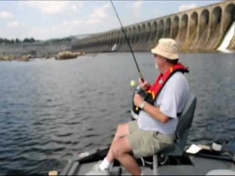 Wilson Dam Fishing Reports http://www.reelreports.com/videos/pickwick Wilson Dam Fishing Reports http://www.reelreports.com/videos/pickwick